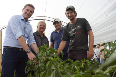 Em apenas 10 meses de gestão, projetos agrícolas de Heliton do Valle trazem resultado para Itararé (SP)